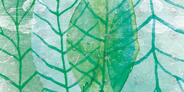 Уникалльные обои Creativespace Wcolor